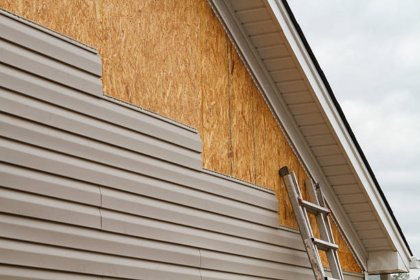 Professional Siding Repair technician working in Stafford, TX